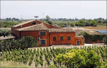 View of Maccari winery