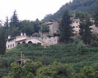 Vineyards on the steep hillsides in the Cartizze Prosecco area.