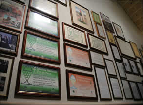 Wall of wine awards at Leone de Castris winery